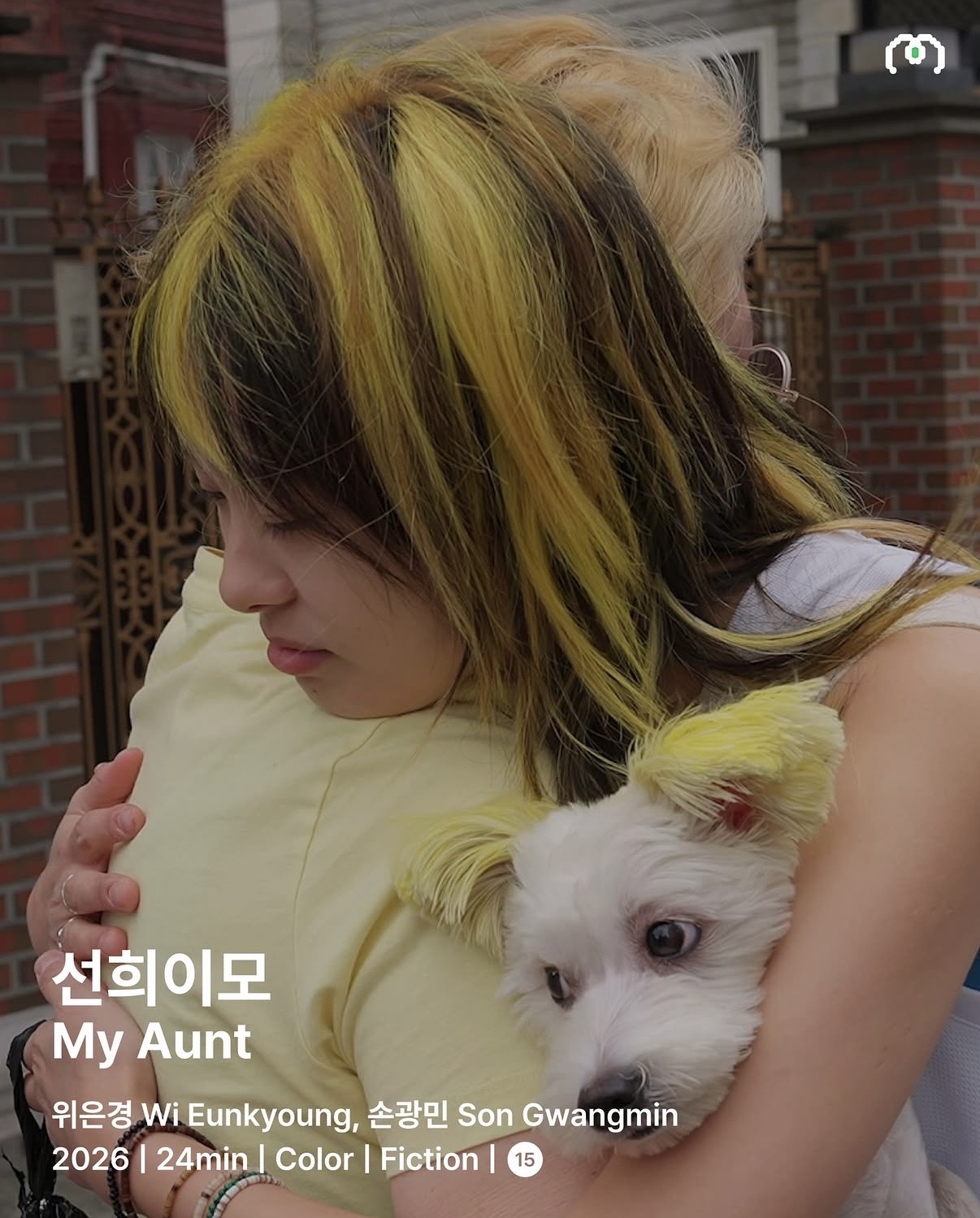 My Aunt poster